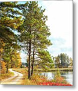 Road Through The Wildlife Refuge Metal Print