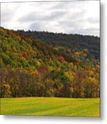 Roadside Fall Colors Metal Print