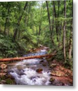 Roaring Run Creek - Eagle Rock Virginia Metal Print
