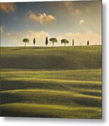Rolling Hills, Cypress And Pine Trees. Tuscany, Italy Metal Print