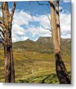Ronny Creek, Cradle Mountain, Tasmania, Australia #3 Metal Print