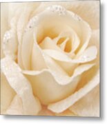 Rose Fabric Beige Texture Metal Print