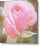 Rosebud 4 Metal Print