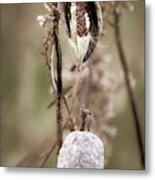 Rugged Autumn Metal Print