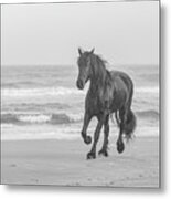 Horse Running On The Beach Photograph Metal Print