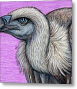 Ruppell's Blue Eyed Griffon Vulture Metal Print
