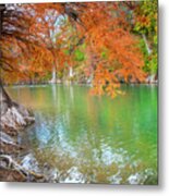 Rusty Reds And Big Roots Metal Print