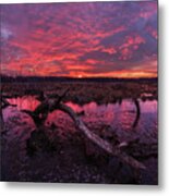 Rutland Dunn-set -  Spectacular Sunset Above Wetlands And Pond With Arched Deadwood Log In Wisconsin Metal Print