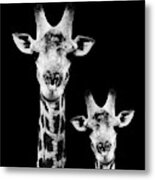 Safari Profile Collection - Portrait Of Giraffe And Baby Black Edition I I I Metal Print