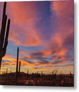 Saguaro Sunrise Metal Print