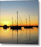 Sailboats In The Sunset Metal Print