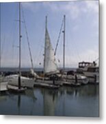 San Francisco Sail Boats Metal Print