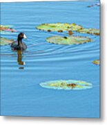 Winter Day At Savannah Wildlife Refuge Metal Print