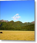 Scenic View With Coastal Brown Bear And Cubs Metal Print