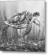 Sea Turtle Gray Watercolor Ocean Creature Ix Metal Print
