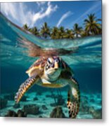 Sea Turtle Paradise Metal Print
