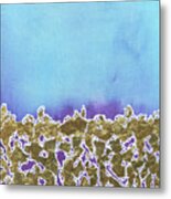 Seafoam Blue Purple Gold Leaf Abstract Metal Print