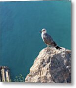 Seagull And The Blue Mediterranean Sea Metal Print