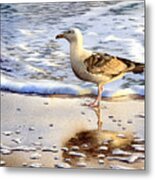 Seagull In The Golden Afternoon Metal Print