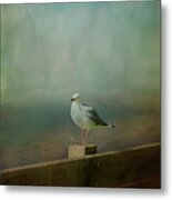 Seagull On A Fence Metal Print