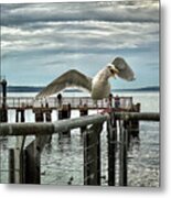 Seagull On The Move Metal Print