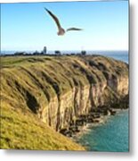 Seagull Over Cliffs At Portland Metal Print