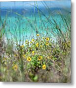 Seaside Wildflowers Metal Print