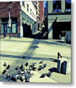 Seattle Pigeons Metal Print