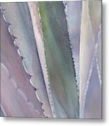 Sedona Agave #1 Metal Print