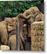 Separated Family Of Elephants Hugging Each Other Metal Print
