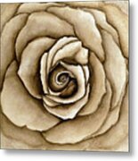 Sepia Rose Metal Print
