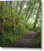 September On The Trail Metal Print