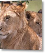 Serene King And Queen Metal Print