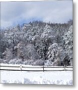 Serene Winter Scene Metal Print