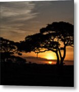 Serengeti Sunrise Metal Print