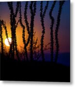 Setting Sun Metal Print