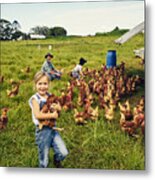 She Loves Caring For The Chickens Metal Print