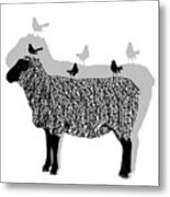 Sheep And Three Willie Wagtails Black And White Pattern Metal Print