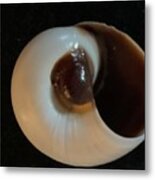 Shell Inside Out Metal Print
