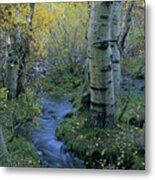 Sherwin Creek Twilight, Mammoth Lakes, California Metal Print