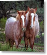 Siblings Metal Print