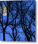 Silhouetted Trees At Full Moon Metal Print