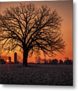Silohenge Sunrise 1 Of 2 - Sunrise Aligned With Farm Silos And Majestic Oak Tree Metal Print