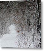 Simcoe Forest In The Snow Metal Print