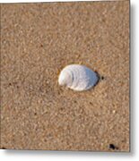 Simple Beauty Metal Print