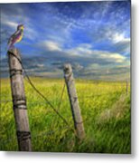 Singing Meadowlark Perched On A Fence Post Metal Print