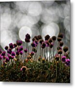 Small flowers with white light dots Metal Print