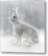 Snow Bunny Metal Print