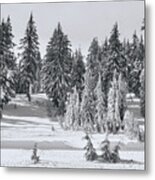 Snow Pines Black And White Metal Print
