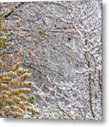 Snow With Color Metal Print